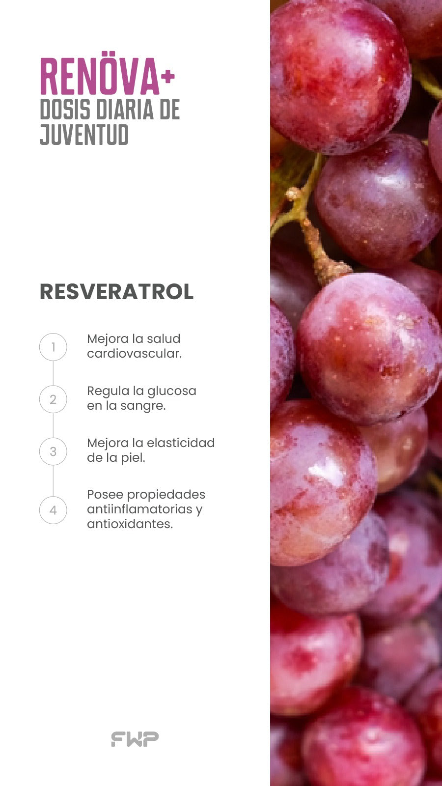 COLÀGENO RENOVA+
